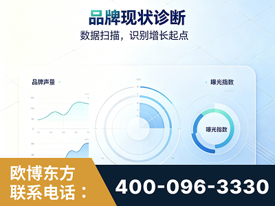 大同-品牌现状诊断