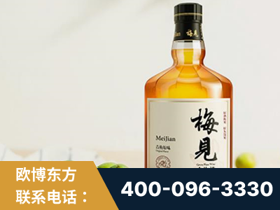 大同-梅见青梅酒